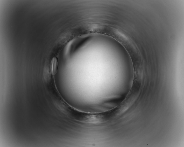 X0000088170558200705291934