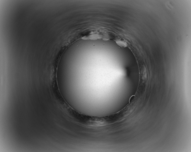 X0000088170559200705291934