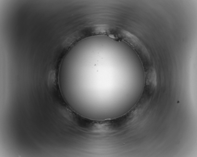 X0000088170560200705291934