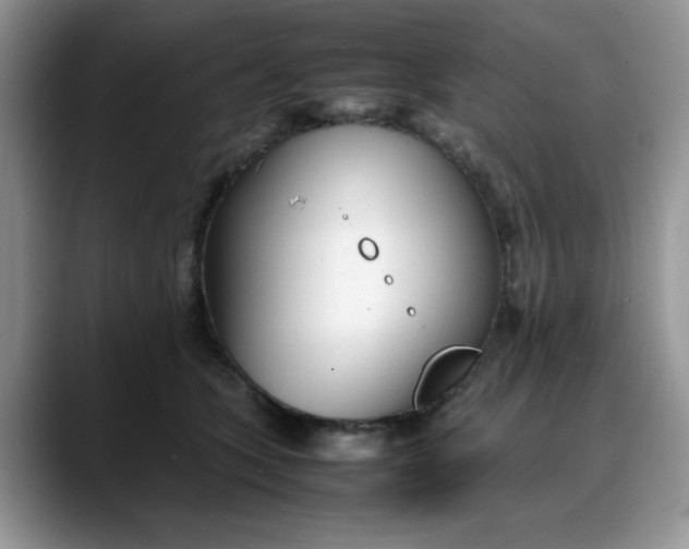 X0000088170563200705291934