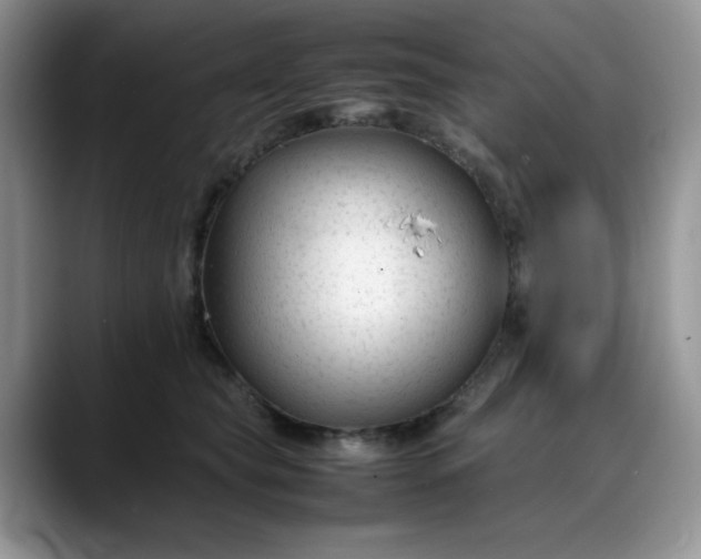 X0000088170565200705291934