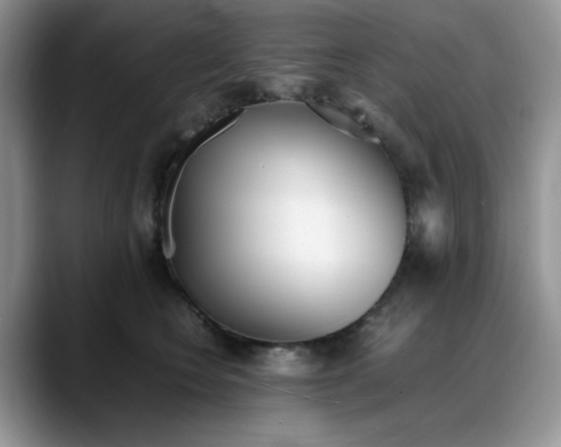 X0000088170566200705291934