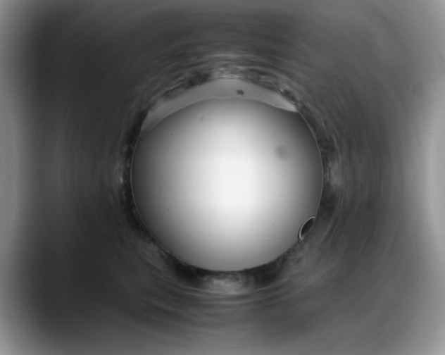 X0000088170567200705291934