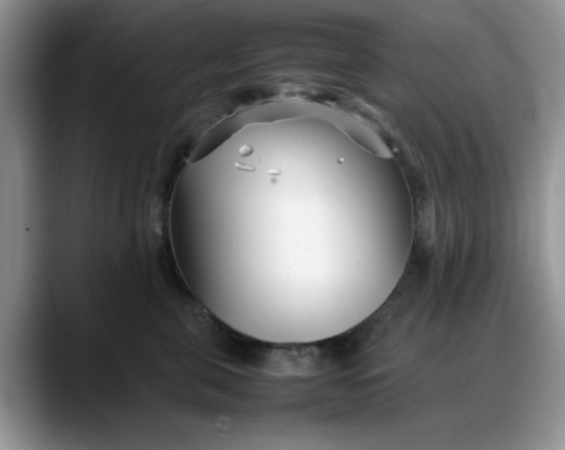 X0000088170571200705291934