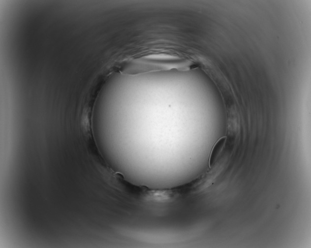 X0000088170573200705291934