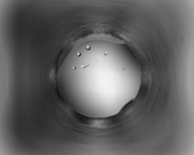 X0000088170575200705291934