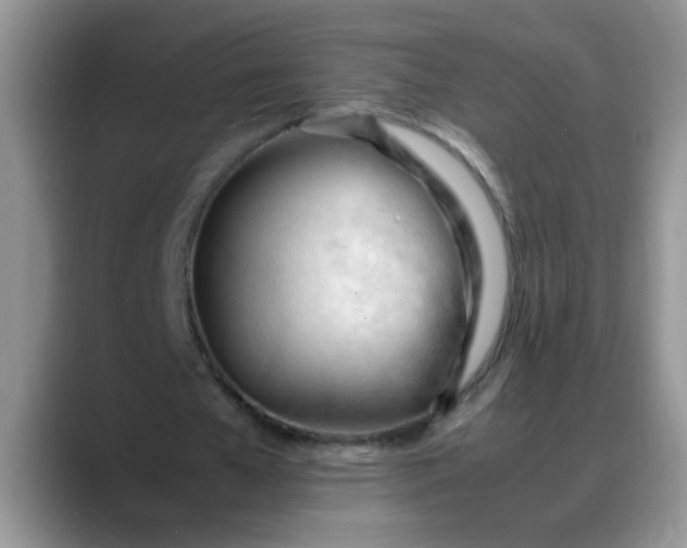 X0000088170577200705291933