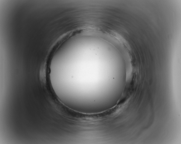 X0000088170580200705291933