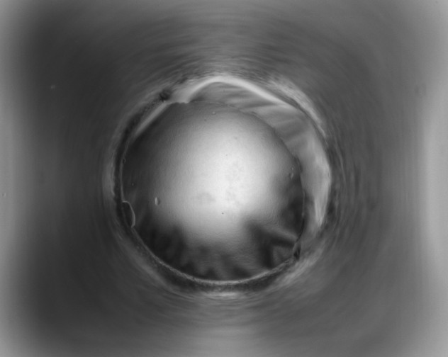 X0000088170581200705291933