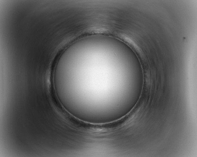 X0000088170582200705291933