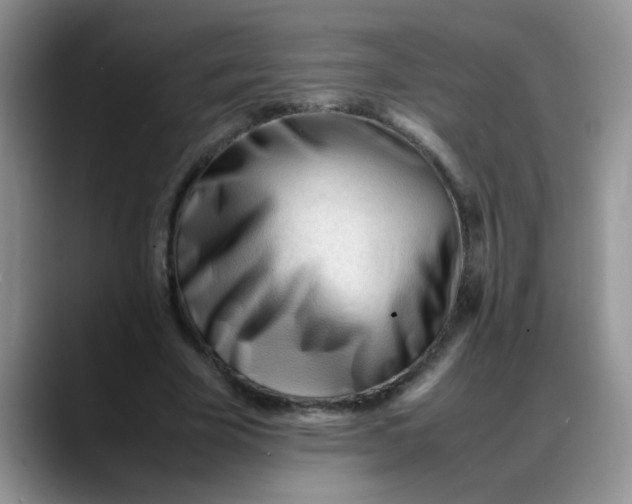 X0000088170585200705291933