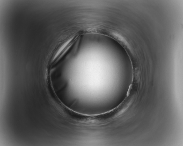 X0000088170589200705291933