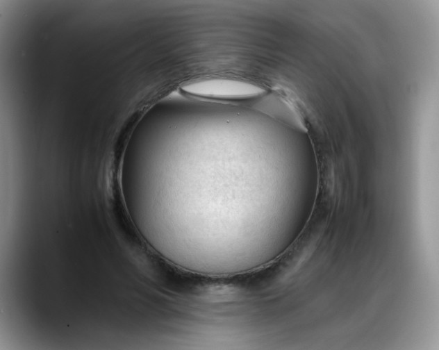 X0000088170590200705291933