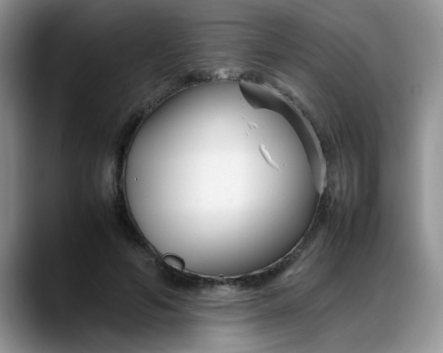 X0000088170594200705291933