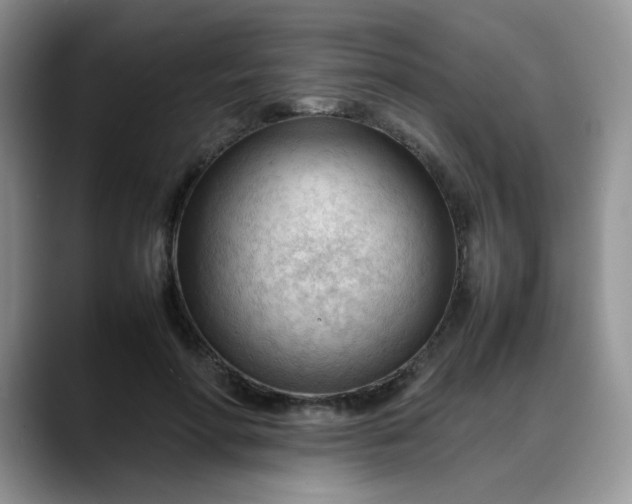 X0000088170598200705291933