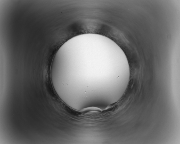 X0000088170599200705291933