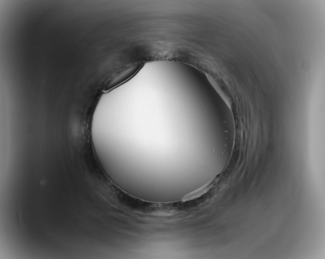 X0000088170601200705291933