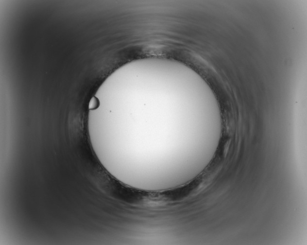 X0000088170603200705291933