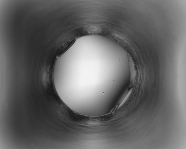 X0000088170604200705291933