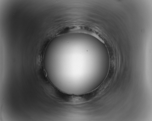 X0000088170605200705291933