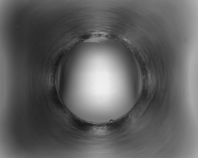 X0000088170606200705291933