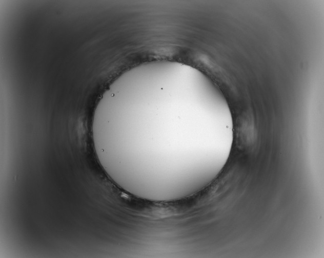 X0000088170608200705291933