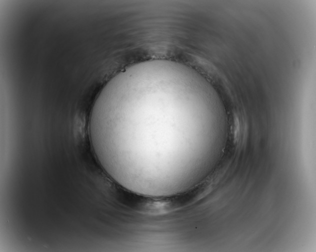 X0000088170610200705291933