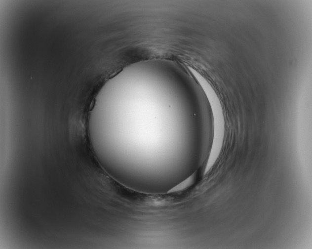 X0000088170613200705291933