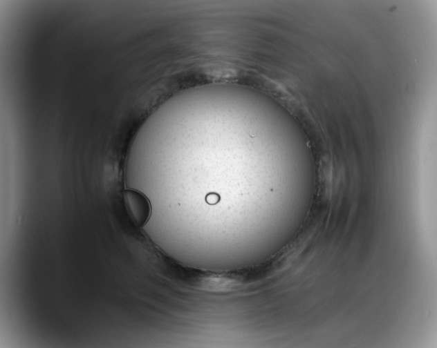 X0000088170614200705291933