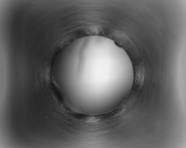 X0000088170616200705291933