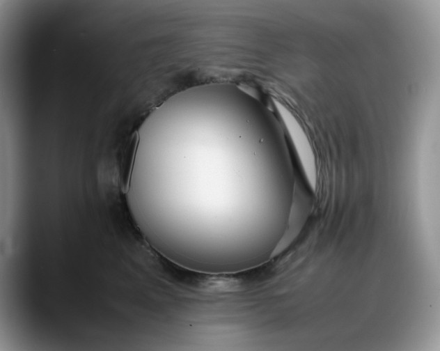 X0000088170617200705291933