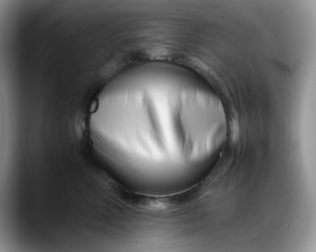 X0000088170618200705291933