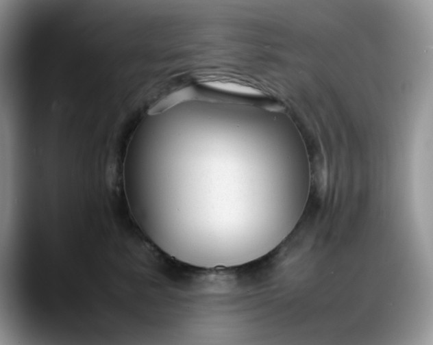 X0000088170619200705291933