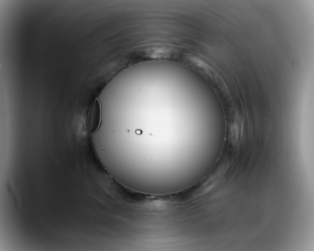 X0000088170620200705291933