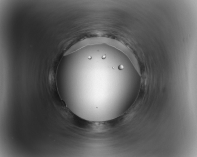 X0000088170623200705291933