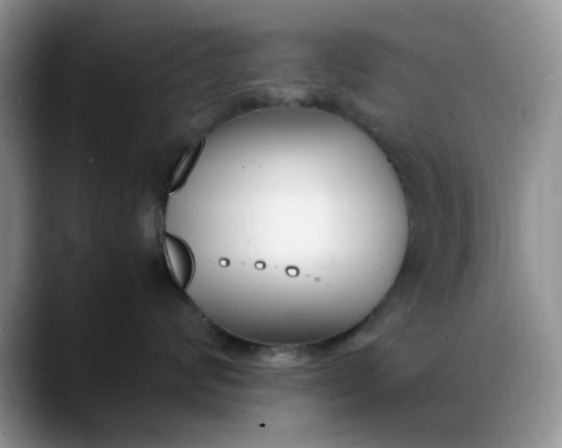 X0000088170624200705291933