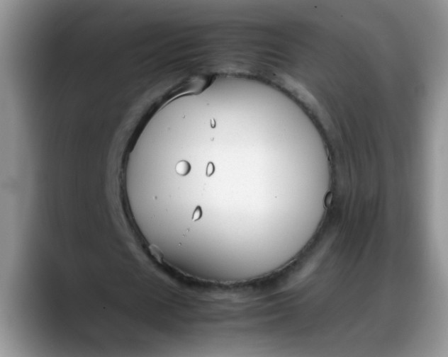 X0000088170625200705291932