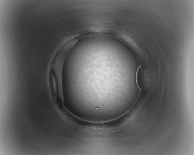 X0000088170626200705291932