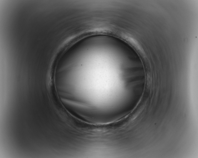 X0000088170628200705291932