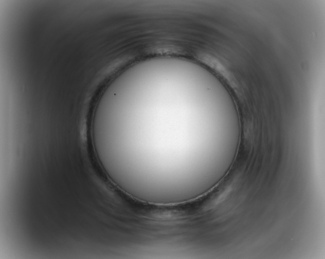 X0000088170629200705291932