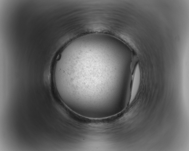 X0000088170630200705291932