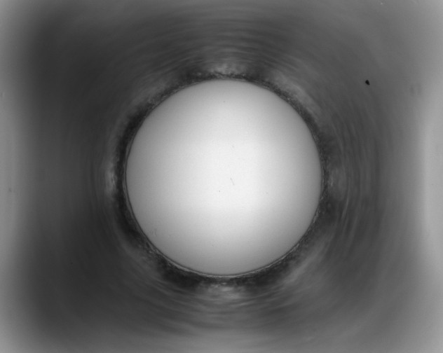 X0000088170635200705291932