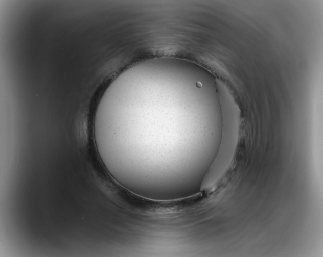 X0000088170638200705291932