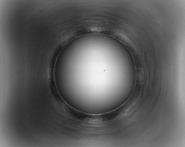 X0000088170639200705291932