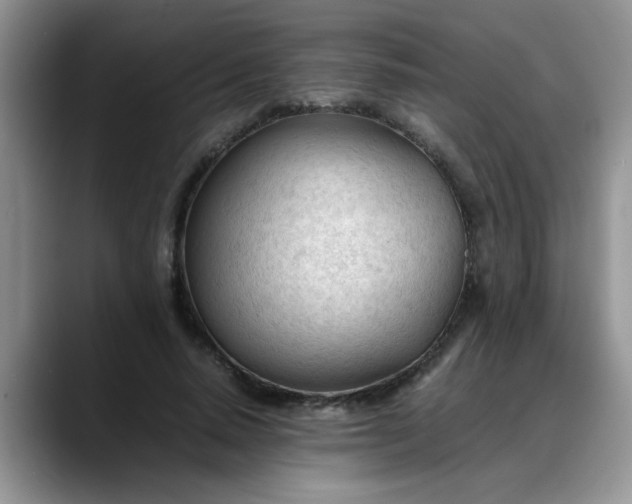 X0000088170640200705291932