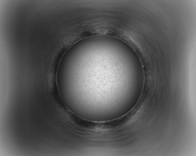 X0000088170641200705291932