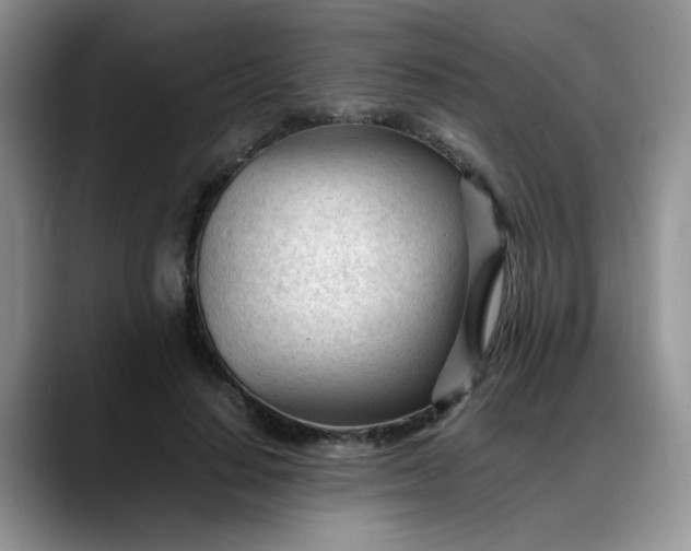 X0000088170644200705291932