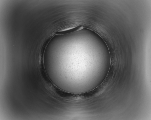 X0000088170646200705291932