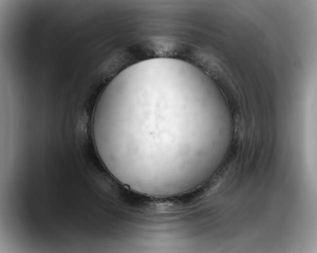 X0000088170650200705291932