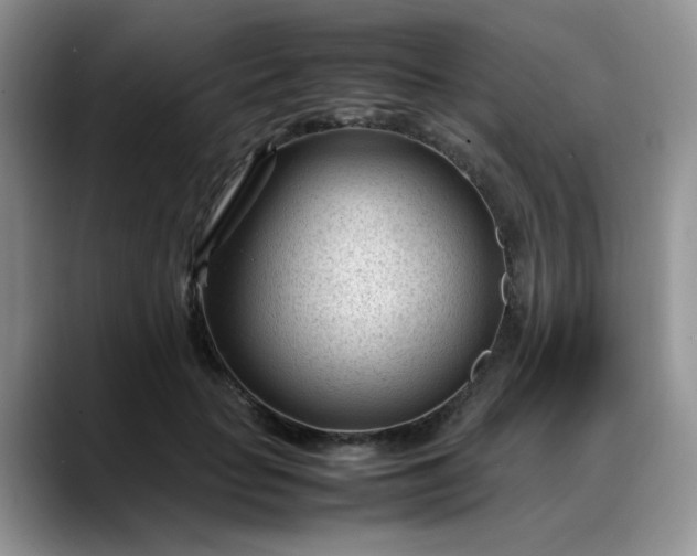 X0000088170653200705291932